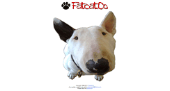 Desktop Screenshot of fatcat.co.nz